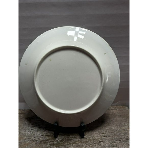 Moss Rose Ironstone 1890 - 1920 DINNER PLATE Beautiful Cottagecore Piece - Picture 8 of 12